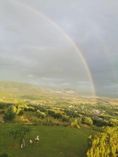 Villa Dei Romani - Country House - Guidonia - 5