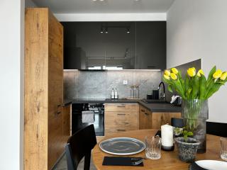 LUX Apartment, Center, AC, Parking - Breslávia - 5