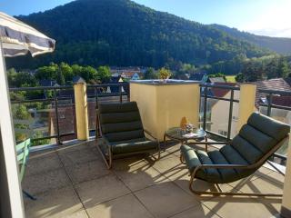 Le panorama - Appartement meublé 5 pièces cuisine salle de bain - Kaysersberg - 8