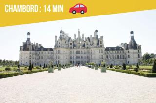 Sologne Escape - Tour-en-Sologne - 3