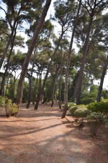 Duplex à 300m des plages, restos, commerces Saint-Cyr-sur-mer AQUALAND 1km - Les Lecques - 3
