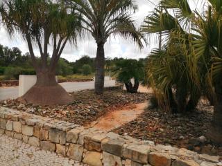 Duas Casas de férias Medronhal Faro EM 520 - 2 - Faro - 7