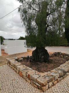 Duas Casas de férias Medronhal Faro EM 520 - 2 - Faro - 8