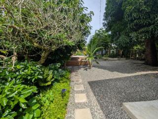 Don Jiménez Guesthouse - Puerto Jiménez - 7