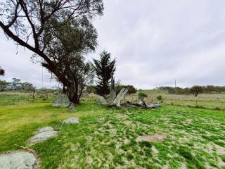 Alpine Vista Large Family Holiday Home - Coolamatong - 9