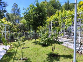 Villa Ninzo - Sutomore - 4