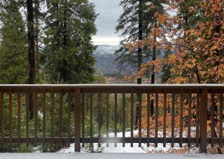 Yosemite Quail - Nestled in with a View - Yosemite West - 6