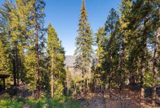 Yosemite Quail - Nestled in with a View - Yosemite West - 3