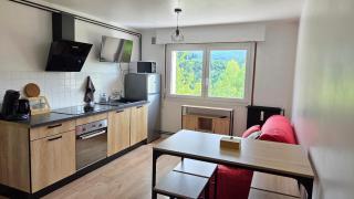 Appart'Hotel Lizon Cocooning avec sauna - Lavans-lès-Saint-Claude - 6