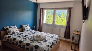 Appart'Hotel Lizon Cocooning avec sauna - 8