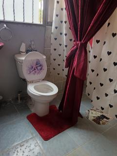 Lirio green hostal - Managua - 6