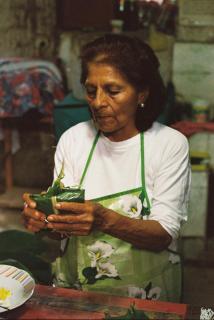 Villa Elena House - 9