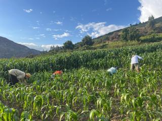 Villa Elena House - 6