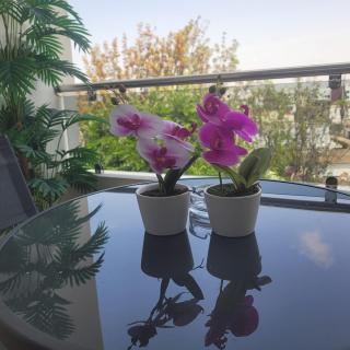 Appartement Neuf et Moderne Riviera Casablanca New and Modern Apartment - Casablanca - 6