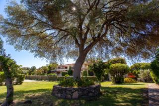 Villaggio La Cinta - San Teodoro - 5