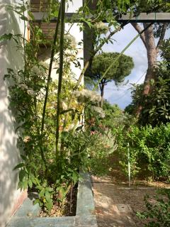 Beau Rivage - Room Studio in villa - Santarcangelo di Romagna - 8
