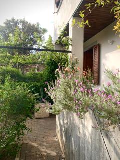 Beau Rivage - Room Studio in villa - Santarcangelo di Romagna - 7