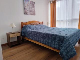 Apartamento Centro Santiago - Santiago - 3