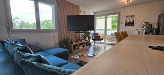 Lovely apartment in Annecy - Annecy - 0