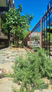 Appartamento sole, mare & giardino - Loano - 1