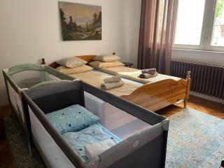 City Garden Residence Old Town Sarajevo - Sarajevo - 1