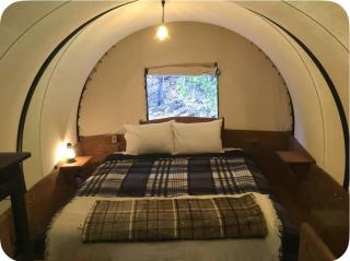 Whispering Pines Covered Wagons - Long Valley Junction - 6