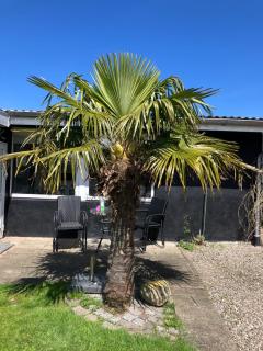 Strandhuset - Broager - 0