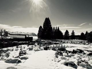 Te Manawa Lakeside Garden - Lake Tekapo - 4