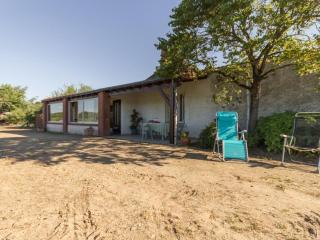 Gîte calme sur domaine viticole, cheminée, wifi, équipements bébé, proche Nantes - FR-1-306-794 - Le Landreau - 2