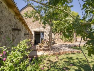 Gîte écolabel entre Angers et Loire, piscine chauffée, jardin clos, calme et charme authentique - FR-1-306-847 - La Chapelle-Saint-Sauveur - 5