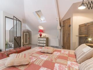 Gîte de charme près de Nantes avec jardin de 2300 m², terrasse privative et vélos à disposition - FR-1-306-798 - Saint-Sébastien-sur-Loire - 4