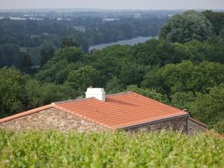 Maison de vignerons avec jardin, Wifi, animaux acceptés - FR-1-306-891 - Le Cellier - 2