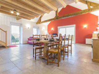 Gîte familial au calme avec étang privé, proche Nantes, jardin, activités, et accès PMR - FR-1-306-961 - Nort-sur-Erdre - 3