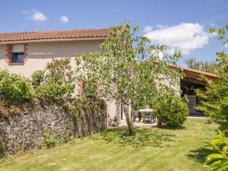 Gîte rénové sur domaine viticole bio, proche de Nantes et Pornic, jardin clos, vélos à disposition - FR-1-306-1035 - Saint-Philbert-de-Grand-Lieu - 1