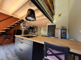 Charmant studio rénové avec mezzanine, cour privative et parking à Rochetrejoux - FR-1-426-479 - - 5