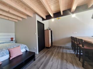 Charmant studio rénové avec mezzanine, cour privative et parking à Rochetrejoux - FR-1-426-479 - - 2