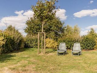 Gîte rénové avec jardin et terrasse sur exploitation agricole, proche étang et lac, parfait familles - FR-1-306-1165 - Les Touches - 3