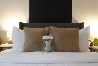 The City Sanctuary A Luxurious Retreat with Urban Charm - Houston - 7