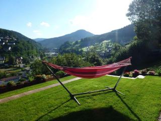 modernly furnished holiday apartment - Bad Peterstal-Griesbach - 7