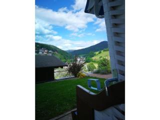 modernly furnished holiday apartment - Bad Peterstal-Griesbach - 5