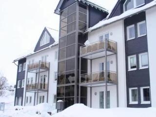 Holiday apartment in Winterberg with terrace - Winterberg - 9