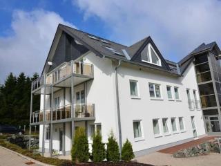 Holiday apartment in Winterberg with terrace - Winterberg - 8