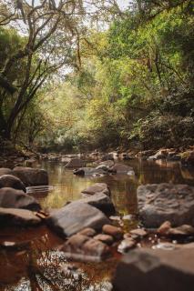 Refúgio no Bosque: Um lugar cheio de encantos - - 1
