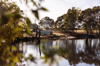 Askara Lake House - Willunga - 8