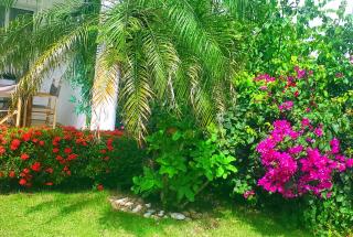 la fenice un apartamento de ensueño en Las Terrenas playa Punta Popy - Las Terrenas - 4
