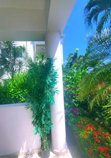 la fenice un apartamento de ensueño en Las Terrenas playa Punta Popy - Las Terrenas - 5