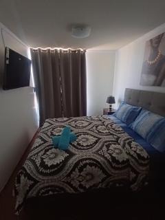 Andina Suite 6 - Santiago - 4