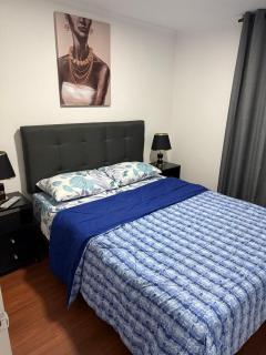 Andina suite 7 - Santiago - 5
