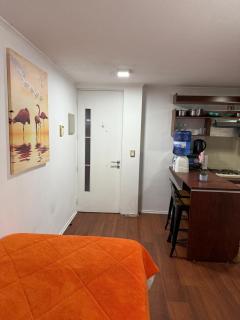 Andina suite 7 - Santiago - 4