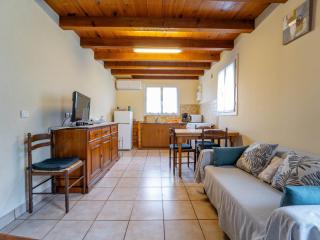 Maison de vacances à Vielle-Saint-Girons - Climatisation et WIFI - FR-1-50-179 - Vielle-Saint-Girons - 0